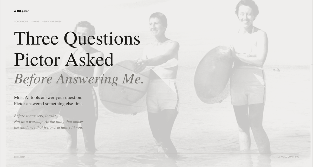 Three Questions Pictor Asked Before Answering Me